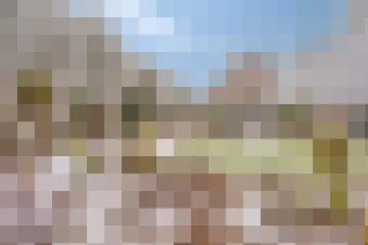 Valeriaanstraat 42 Terneuzen thumbnail 4