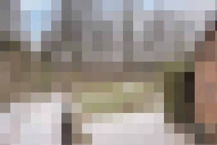 Valeriaanstraat 42 Terneuzen thumbnail 5