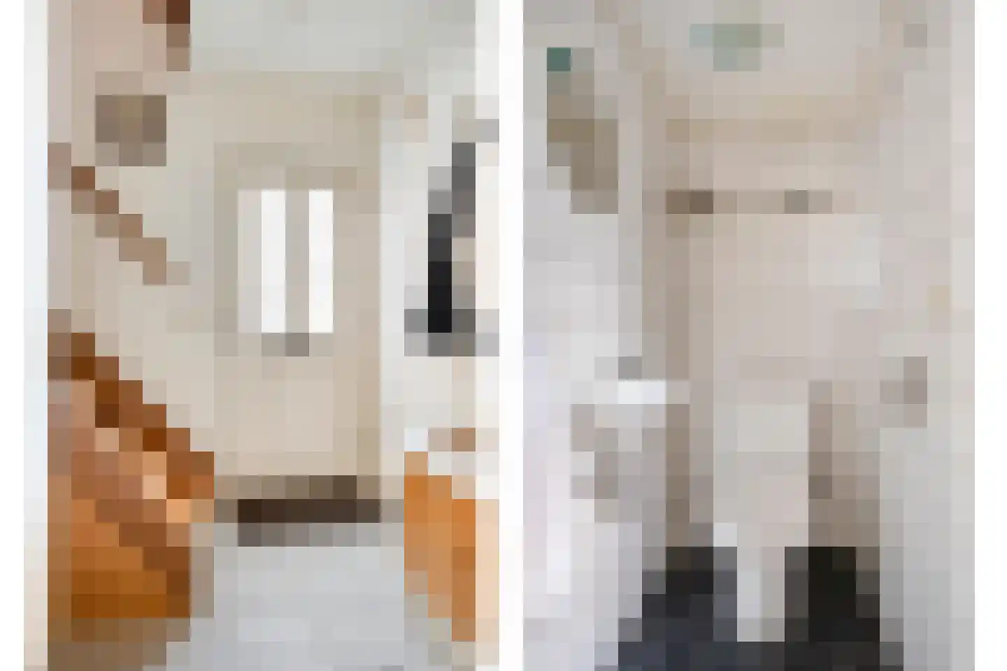Valeriaanstraat 46 Terneuzen thumbnail 5