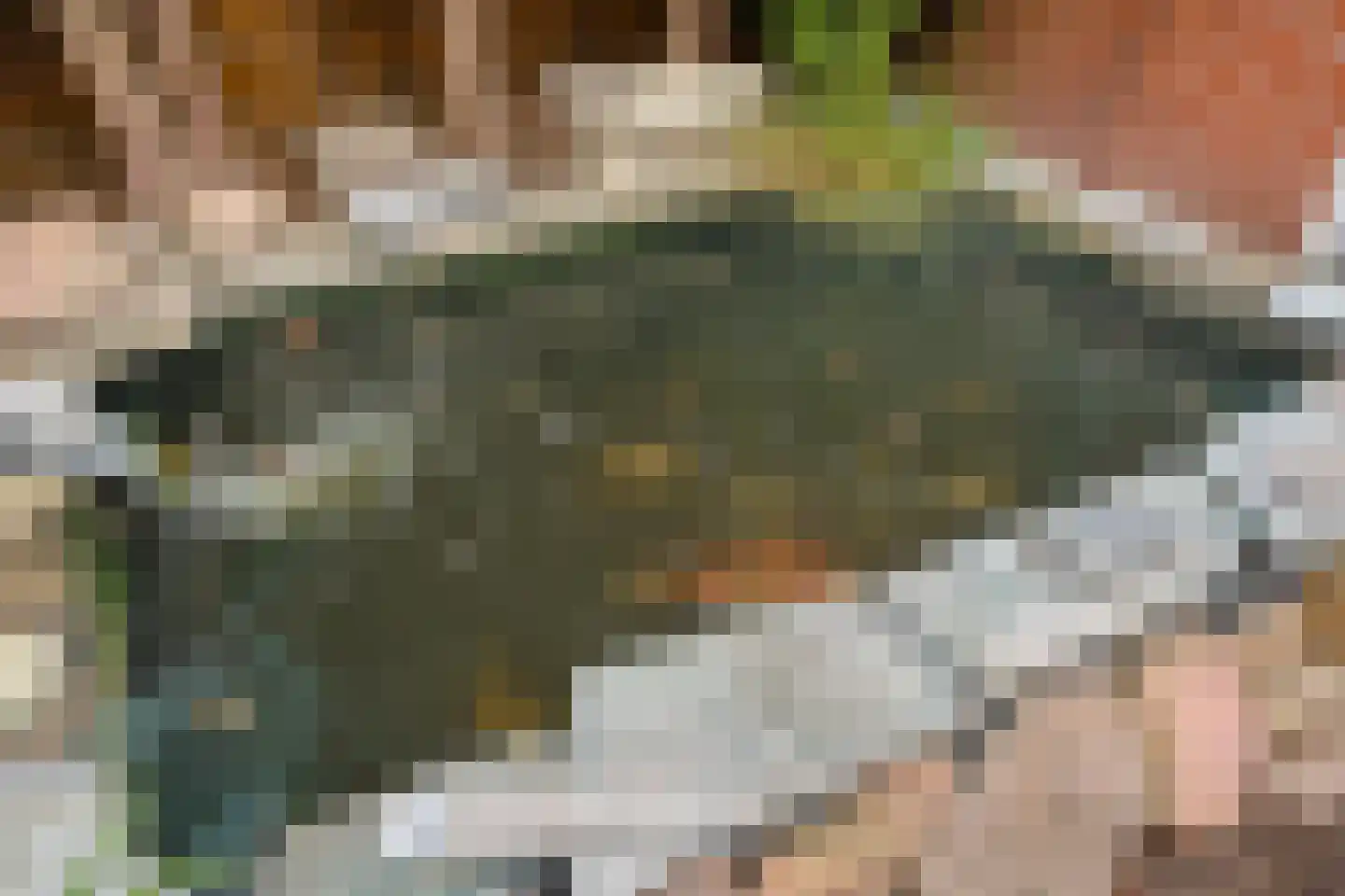 Valeriaanstraat 5 Groningen thumbnail 30
