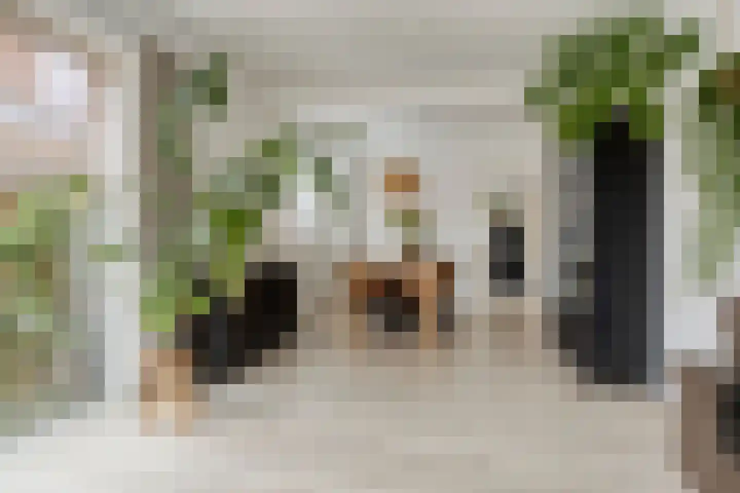 Valeriaanstraat 5 Groningen thumbnail 4