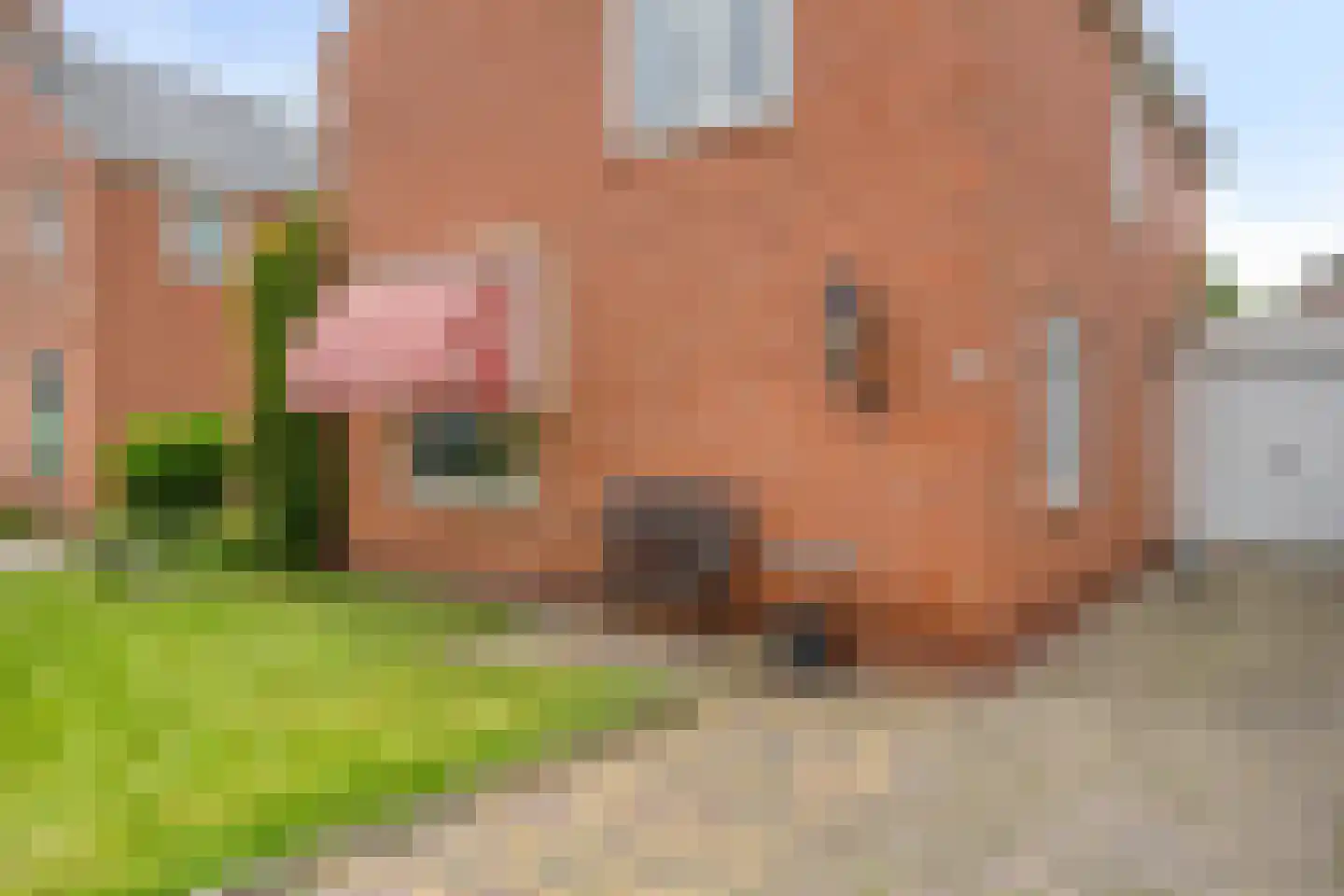Valeriaanstraat 5 Groningen thumbnail 9