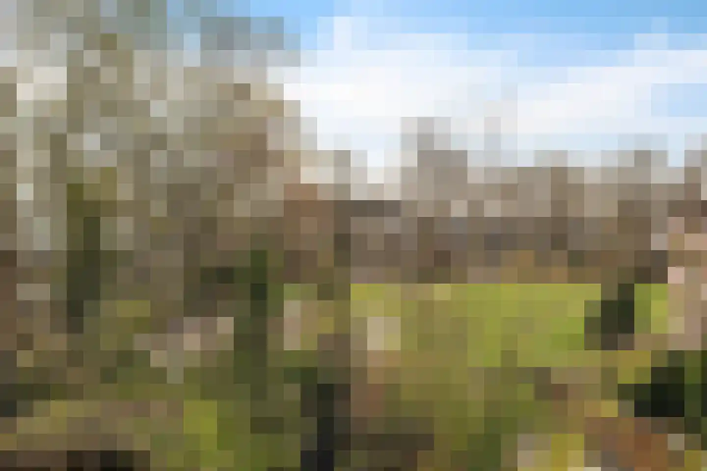 Valeriaanstraat 7 Soest thumbnail 20