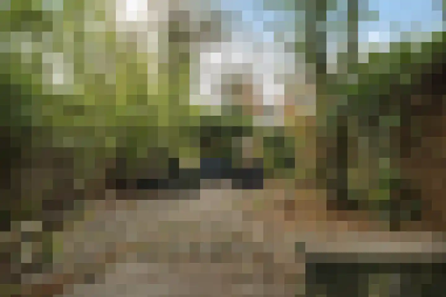 Valeriaanstraat 7 Soest thumbnail 21
