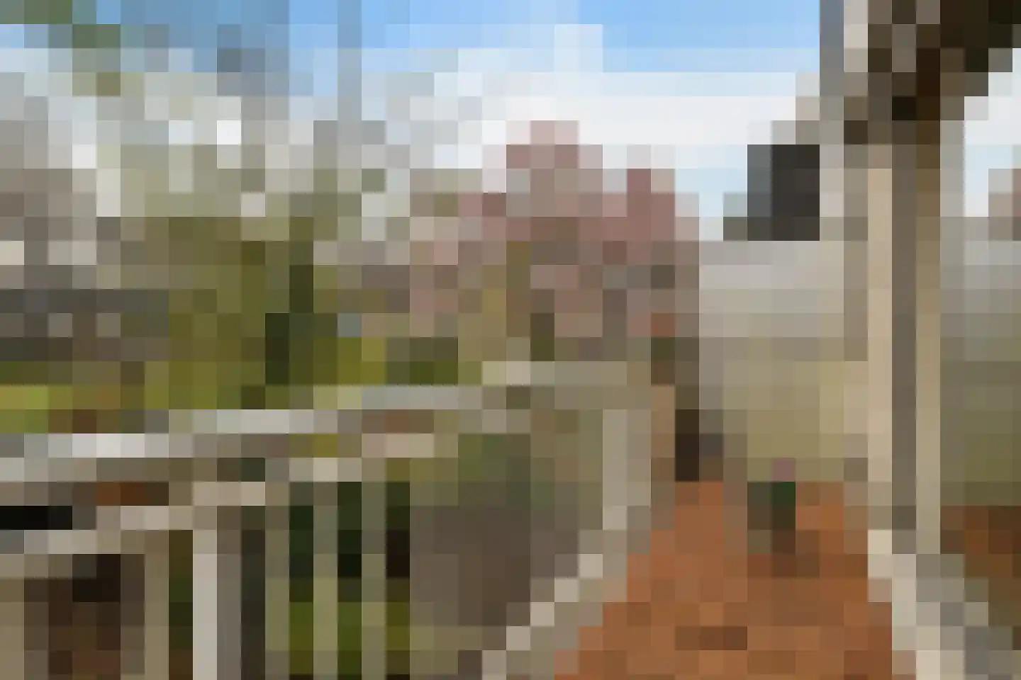 Valeriaanstraat 7 Soest thumbnail 7