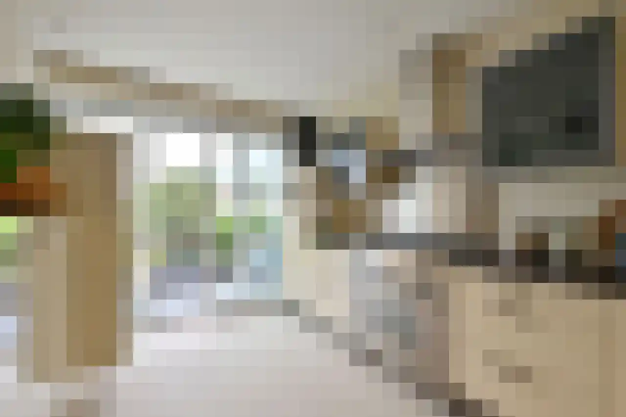 Valeriaanstraat 91 Soest thumbnail 22