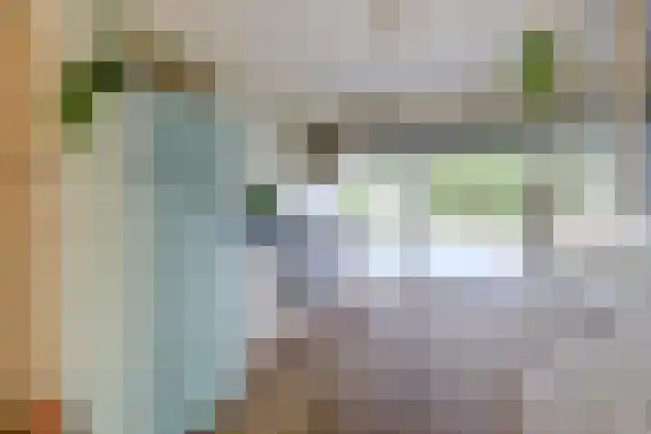 Valeriaanstraat 99 Soest thumbnail 13