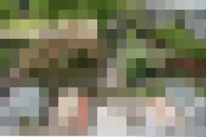 Valeriaanstraat 99 Soest thumbnail 31