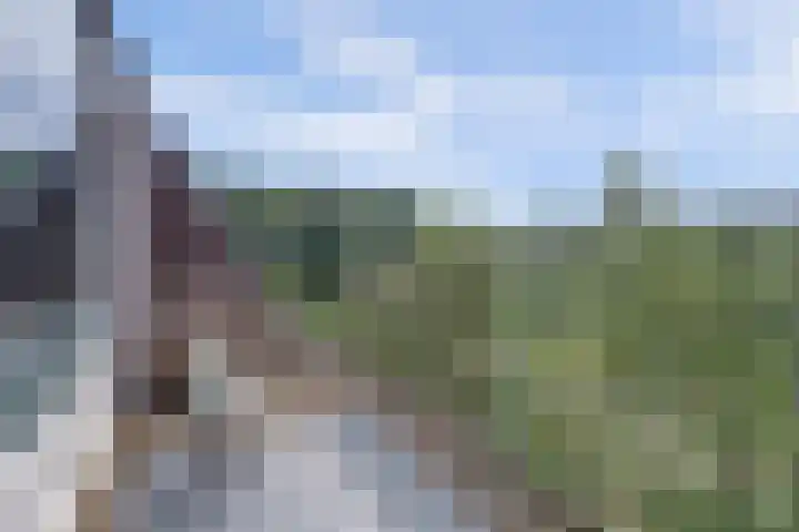 Valeriaanstraat 99 Soest thumbnail 32