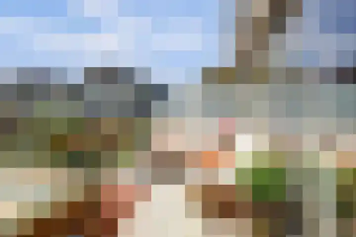 Valeriaanstraat 99 Soest thumbnail 34