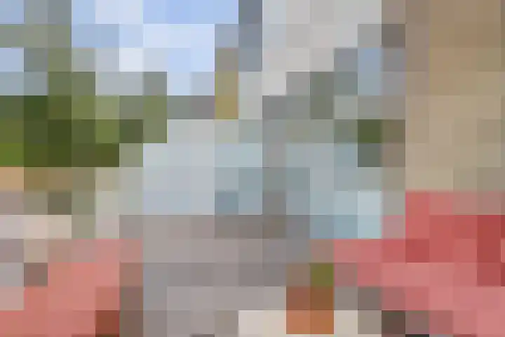 Valeriaanstraat 99 Soest thumbnail 37