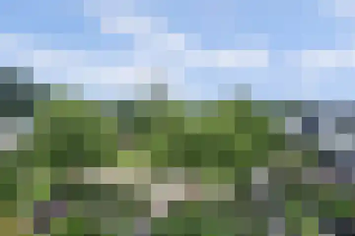 Valeriaanstraat 99 Soest thumbnail 38