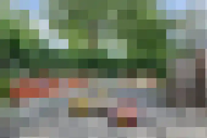 Valeriaanstraat 99 Soest thumbnail 43