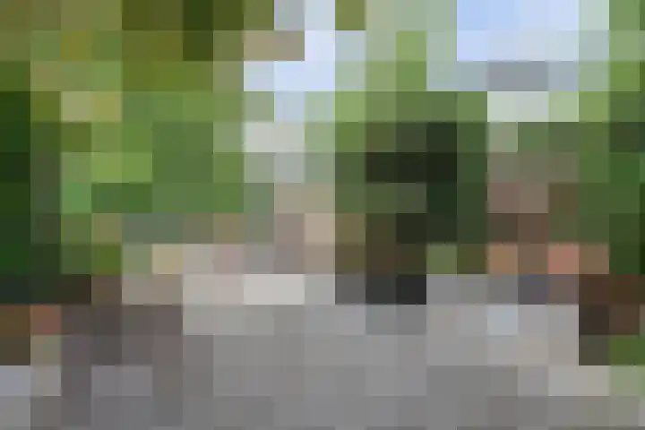 Valeriaanstraat 99 Soest thumbnail 46