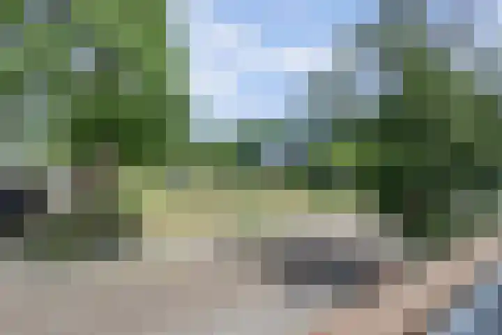 Valeriaanstraat 99 Soest thumbnail 47