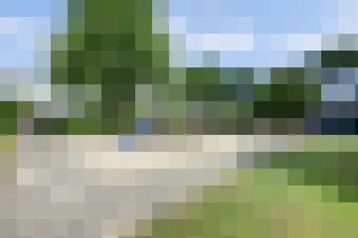 Valeriaanstraat 99 Soest thumbnail 48
