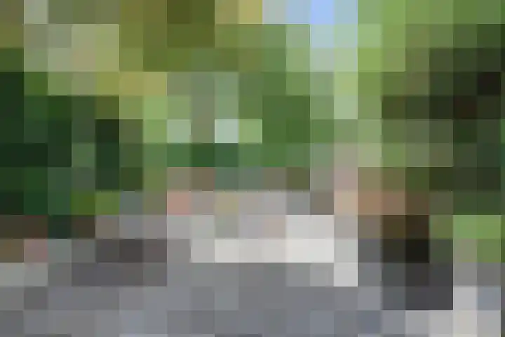 Valeriaanstraat 99 Soest thumbnail 5