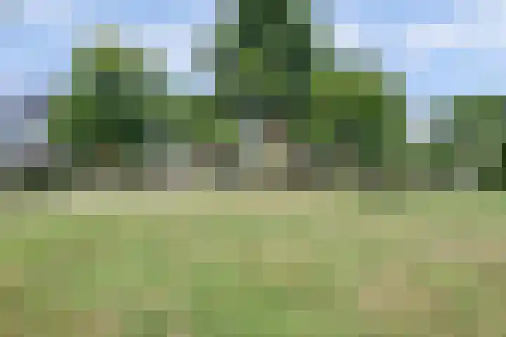 Valeriaanstraat 99 Soest thumbnail 50
