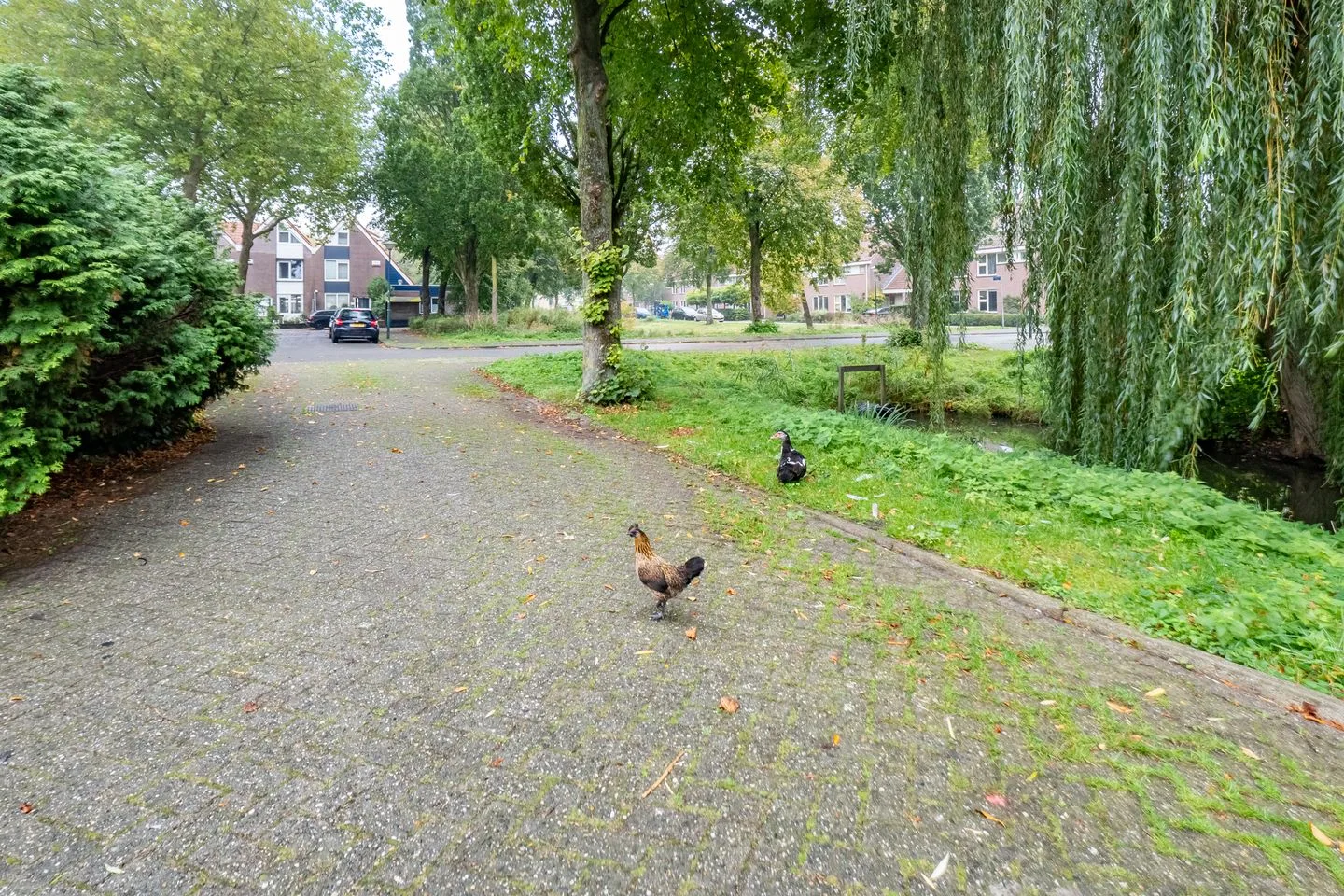 Valeriaanveld 30 Woerden thumbnail 38