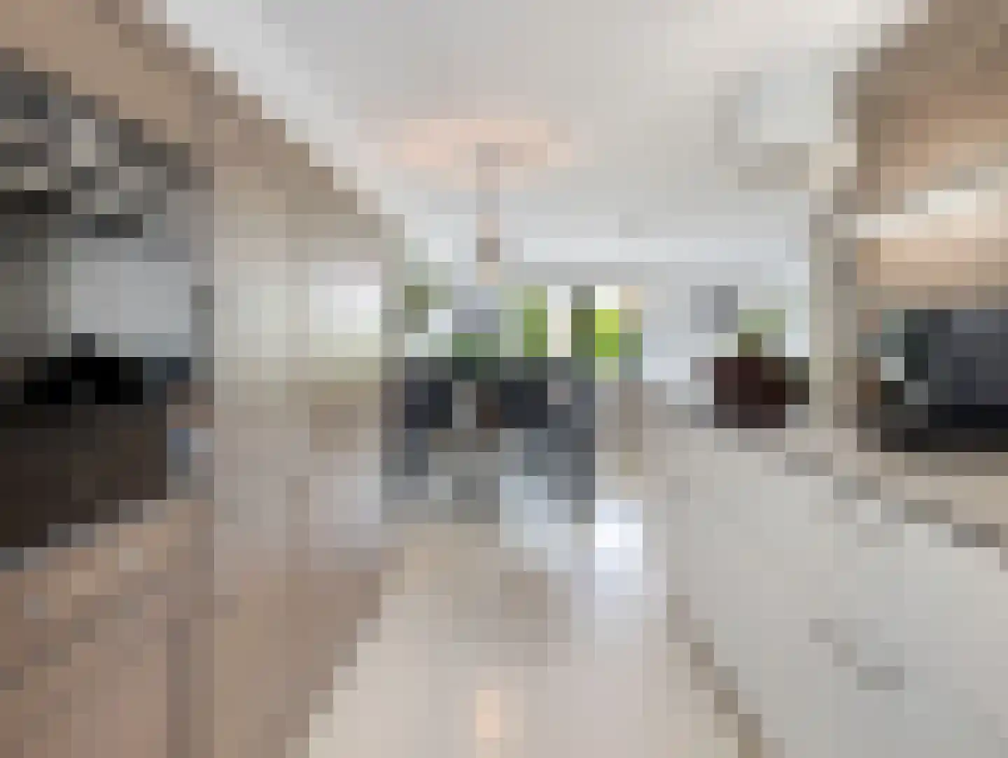 Valeriaanweg 105 Utrecht thumbnail 32