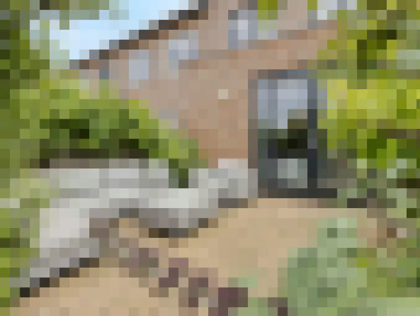 Valeriaanweg 105 Utrecht thumbnail 4