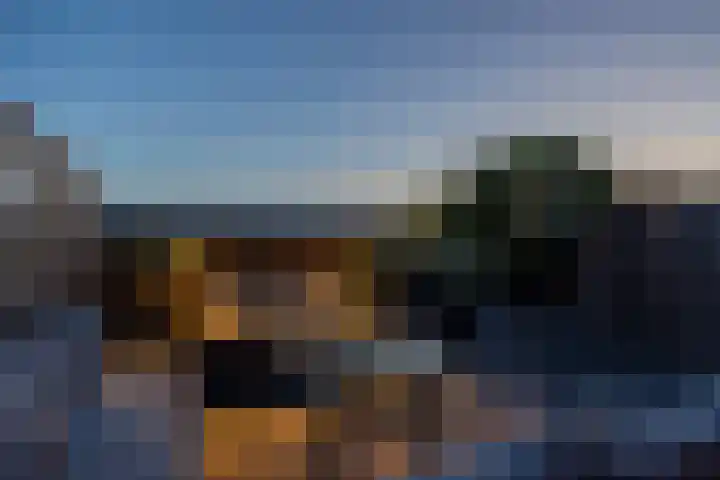 Valeriaanweg 127 Utrecht thumbnail 12