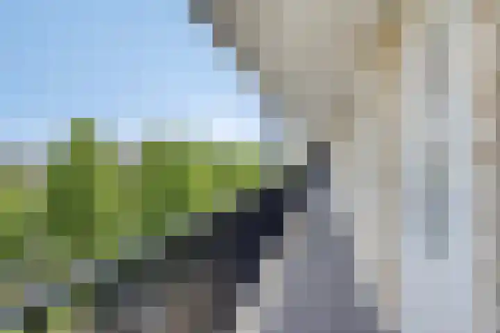 Valeriaanweg 183 Utrecht thumbnail 9