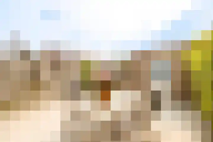 Valeriaanweg 233 Utrecht thumbnail 16