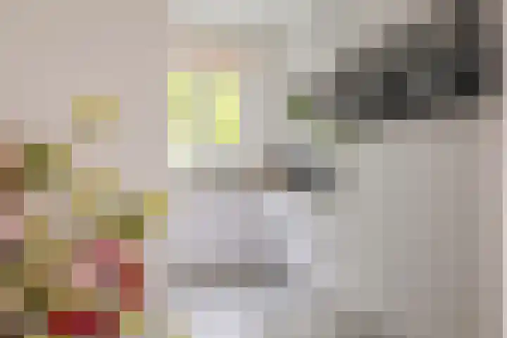 Valeriaanweg 233 Utrecht thumbnail 18