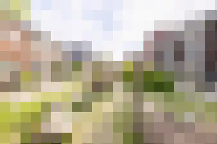 Valeriaanweg 233 Utrecht thumbnail 43
