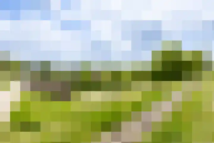 Valeriaanweg 233 Utrecht thumbnail 45