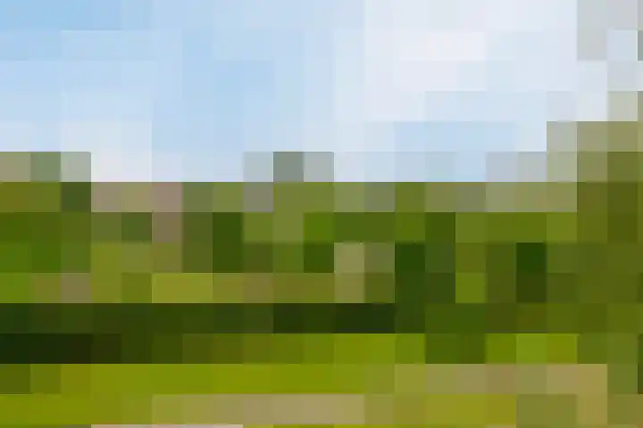 Valeriaanweg 233 Utrecht thumbnail 46