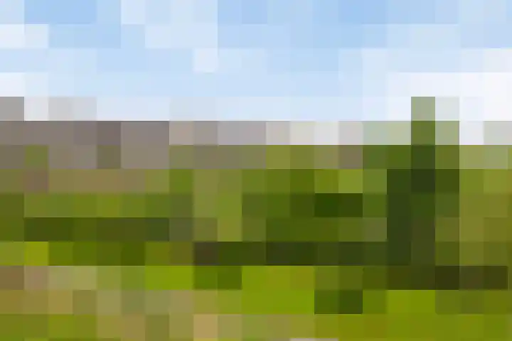 Valeriaanweg 233 Utrecht thumbnail 47