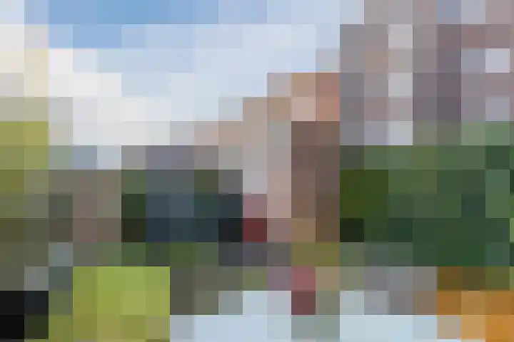 Valeriaanweg 277 Utrecht thumbnail 14