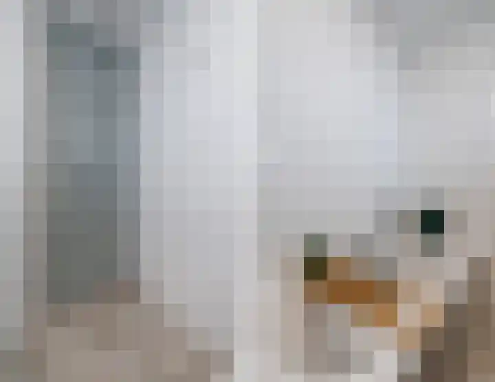 Valeriaanweg 277 Utrecht thumbnail 35