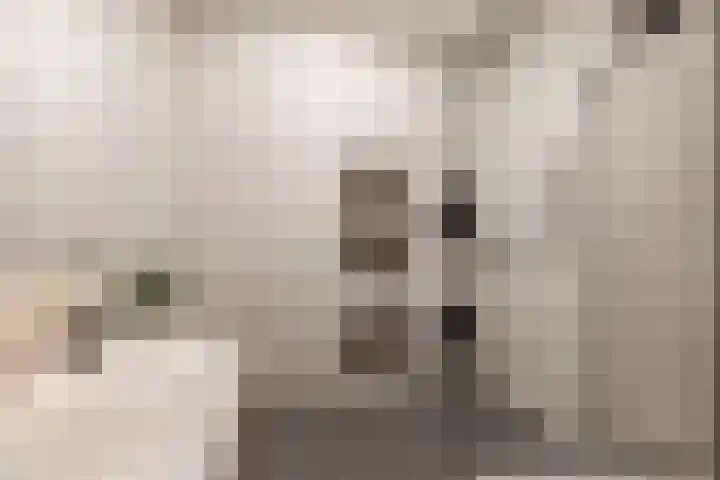 Valeriaanweg 277 Utrecht thumbnail 47