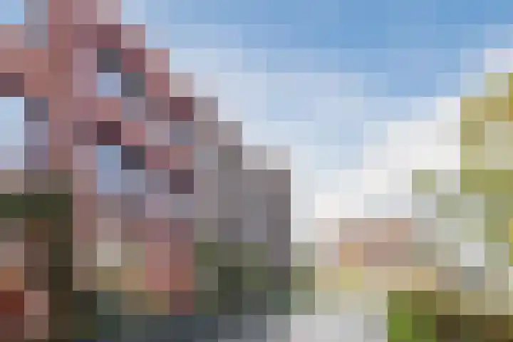 Valeriaanweg 277 Utrecht thumbnail 59