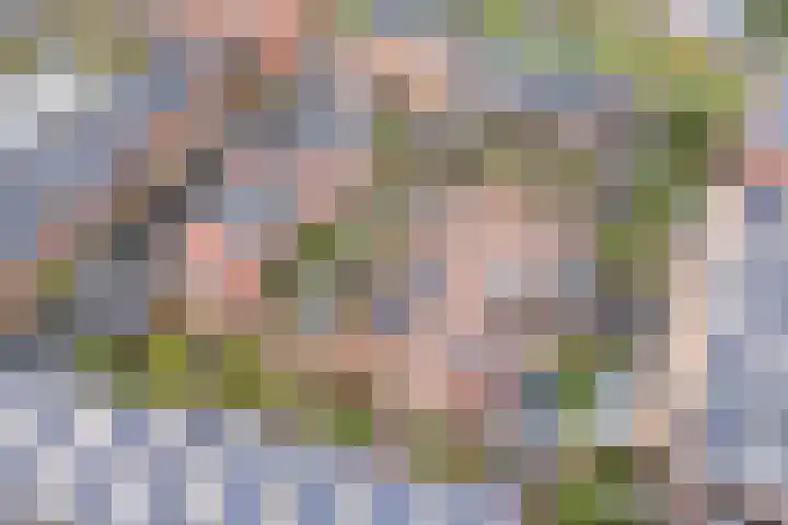 Valeriaanweg 277 Utrecht thumbnail 64