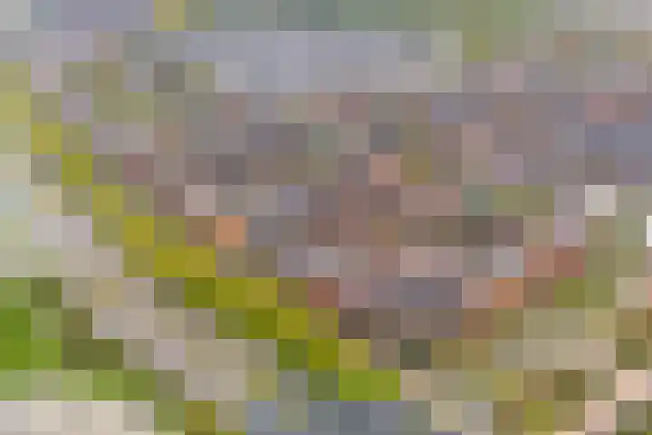 Valeriaanweg 277 Utrecht thumbnail 65