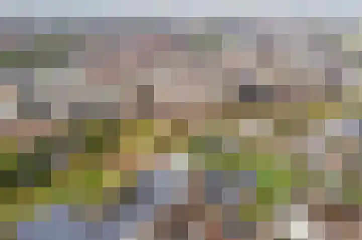 Valeriaanweg 277 Utrecht thumbnail 66