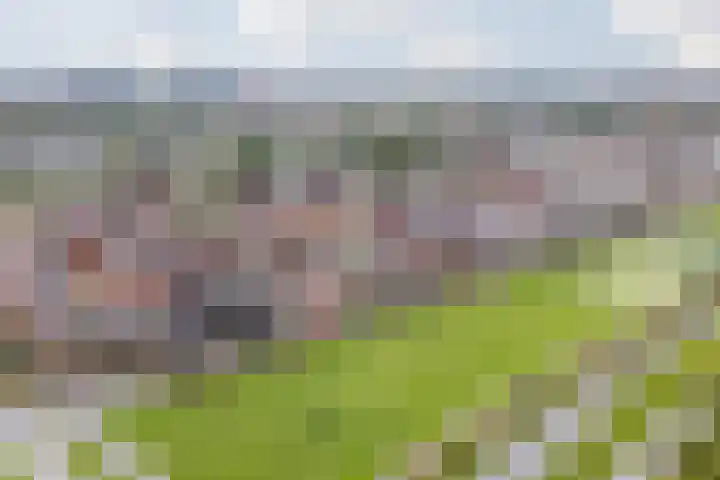 Valeriaanweg 277 Utrecht thumbnail 68