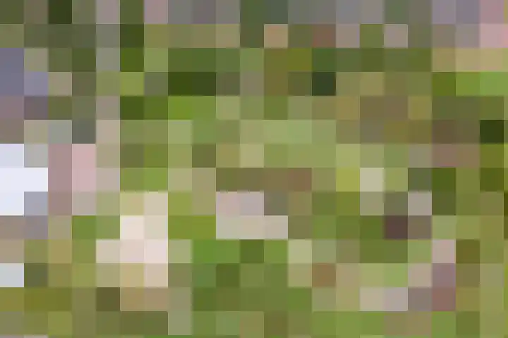 Valeriaanweg 277 Utrecht thumbnail 69