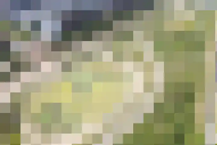 Valeriaanweg 277 Utrecht thumbnail 72