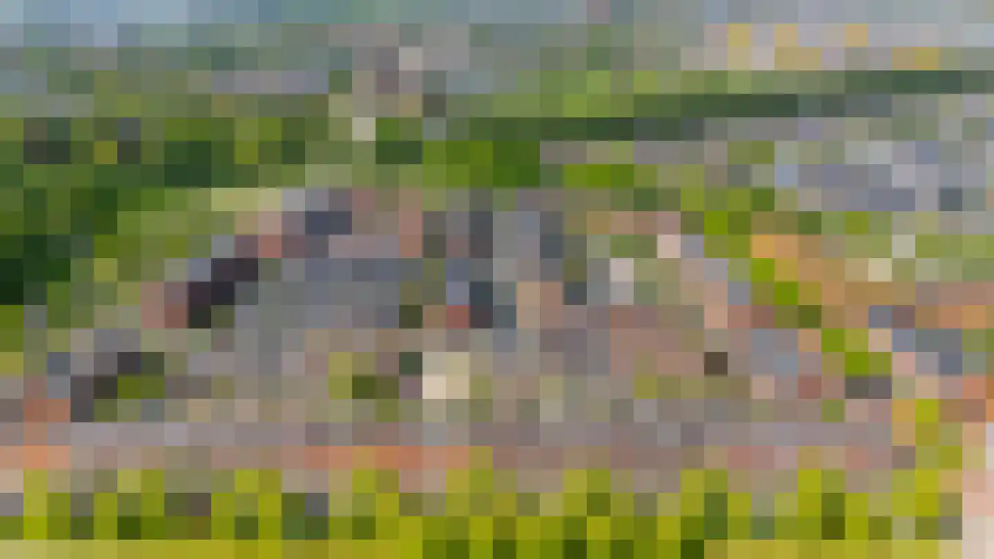 Valeriaanweg 31 Utrecht thumbnail 52