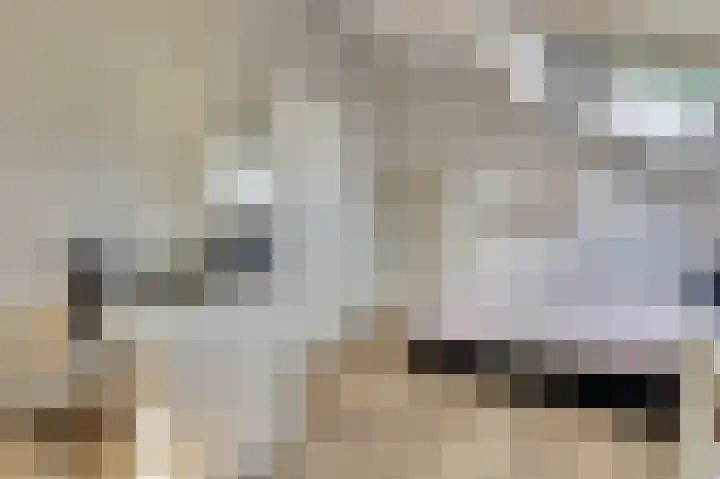 Valerianuslaan 35 Beuningen Gld thumbnail 23