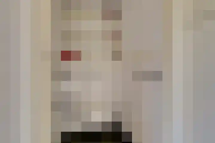 Valerianuslaan 35 Beuningen Gld thumbnail 26