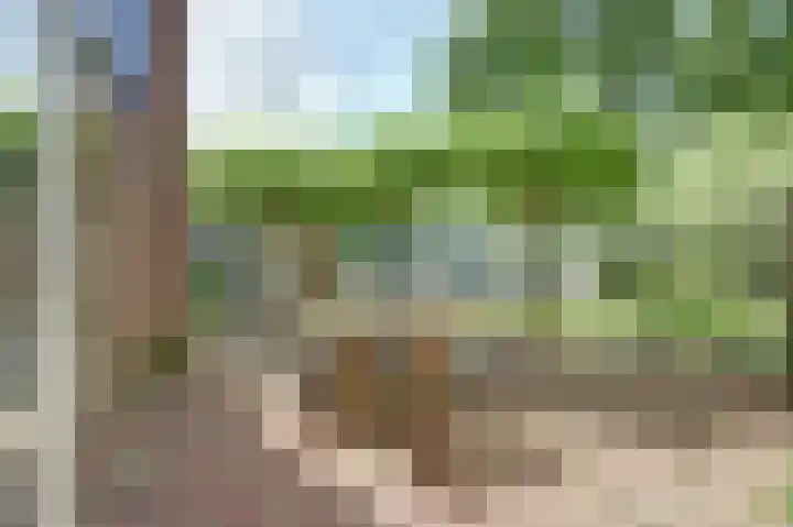 Valerianuslaan 35 Beuningen Gld thumbnail 30