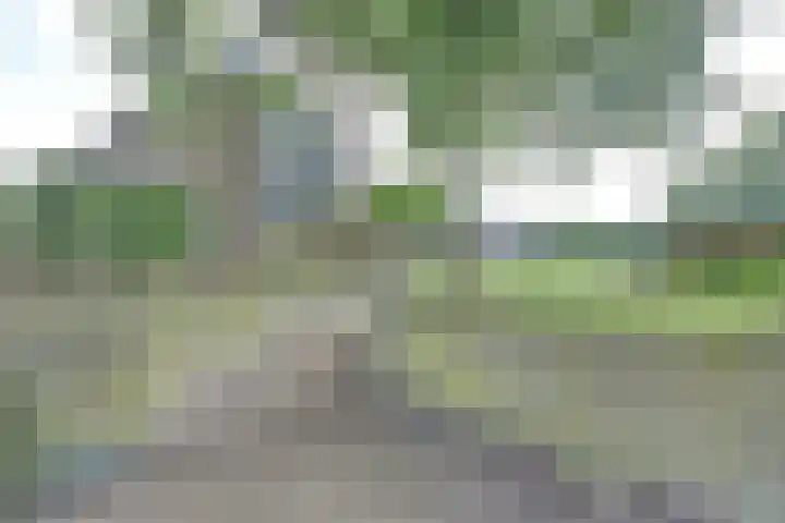 Valerianuslaan 35 Beuningen Gld thumbnail 31