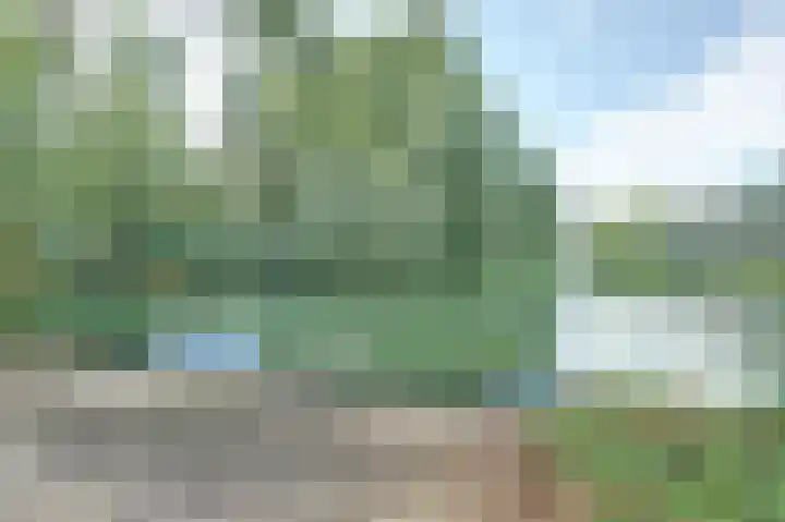 Valerianuslaan 35 Beuningen Gld thumbnail 32