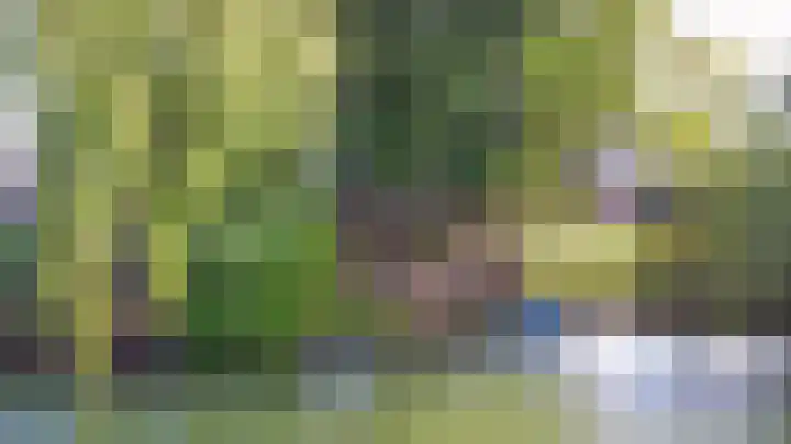 Valerianuslaan 35 Beuningen Gld thumbnail 39